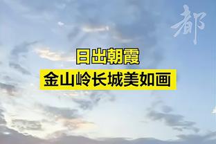 菲利克斯本场数据：打入唯一进球，传球成功率90.2%，被犯规5次